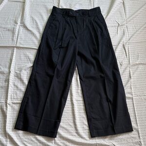Banana Republic Black Wide-Leg Pleated Trousers